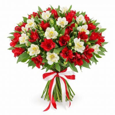 Альстромерия микс 1