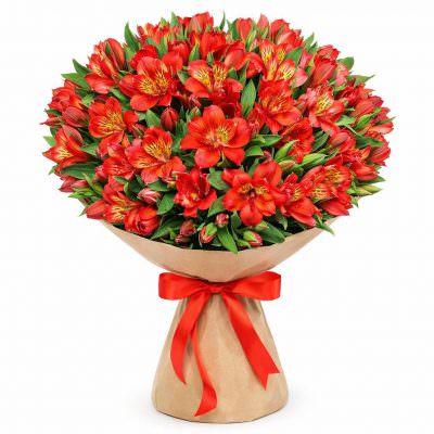 Монобукет из красных альстромерий «Огненная радость»