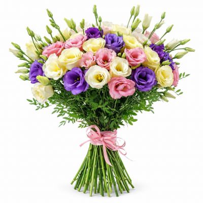 Эустома микс 2