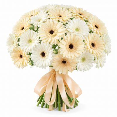 Гербера микс 2