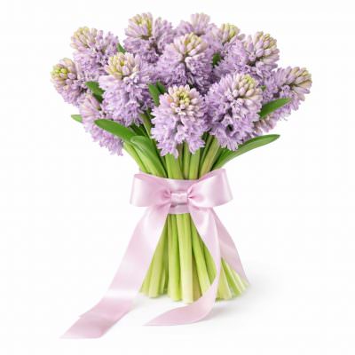 Гиацинт розовый