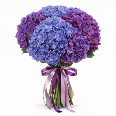 Гортензия Микс 2