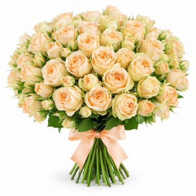 Розы Пионовидные бежевые