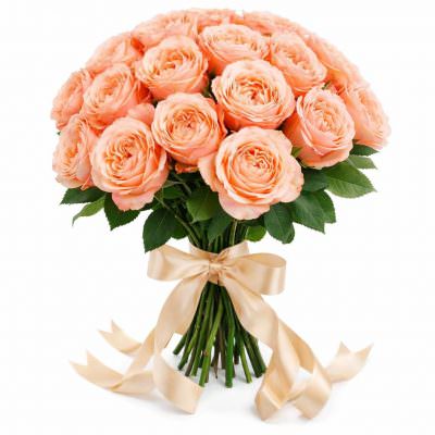 Розы Пионовидные оранжевые