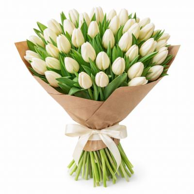 Тюльпаны белые