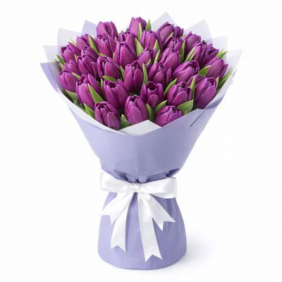 Тюльпаны фиолетовые