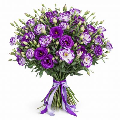 Эустома бело-фиолетовая