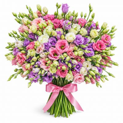 Эустома микс 5