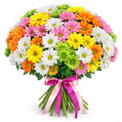 Хризантема кустовая микс 6