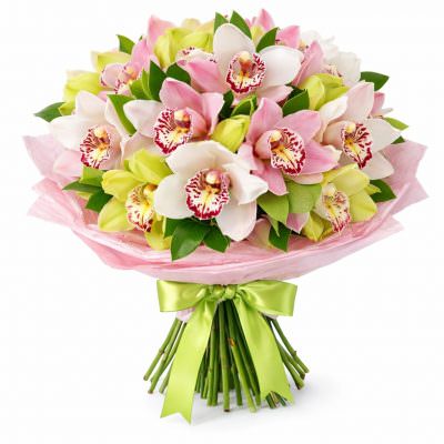 Орхидея микс 4