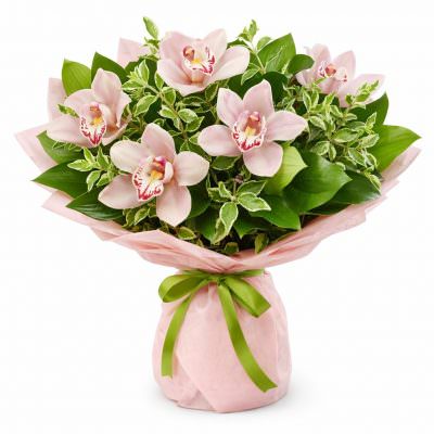 Орхидея светло розовая