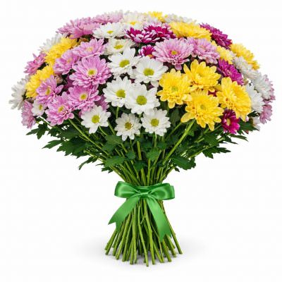 Ромашка микс 1