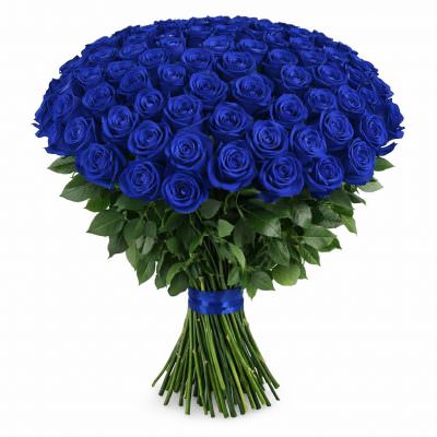 Розы Эквадор синие