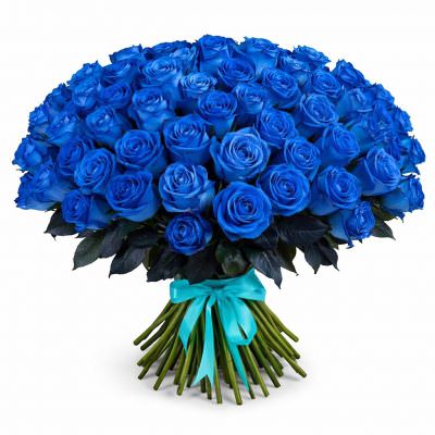 Розы Россия синие