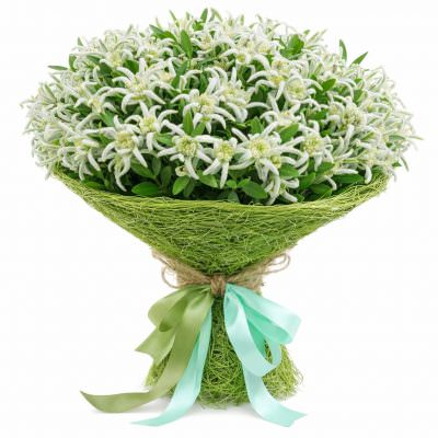 Букет из эдельвейсов «Горный бриз»