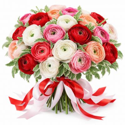 Ранункулюс микс 1