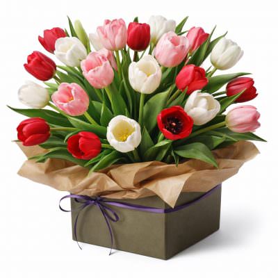 Тюльпаны в коробочке «Гармония природы»