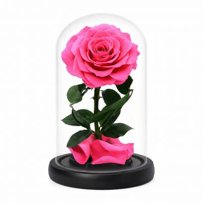 Роза в колбе розовая