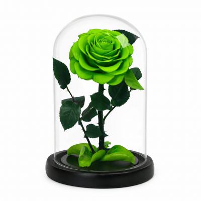 Роза в колбе светло-зеленая