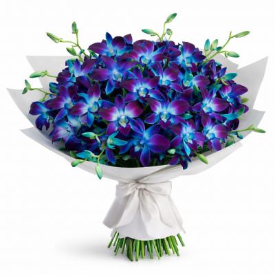 Букет с дендробиумами «Синий блеск»