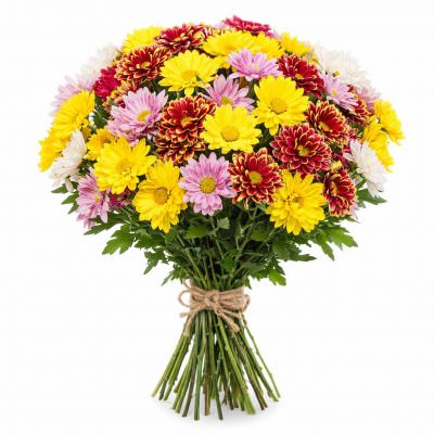 Ромашка микс 2